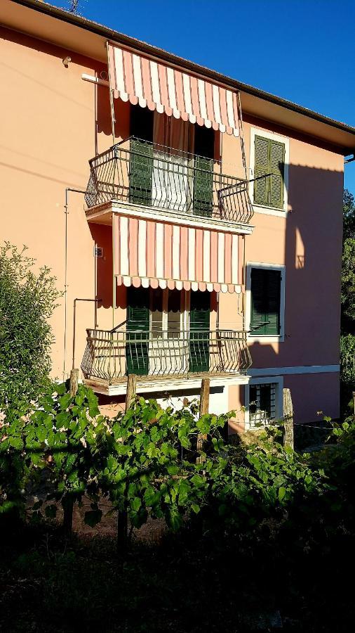 Casa Rosa Διαμέρισμα Σέστρι Λεβάντε Εξωτερικό φωτογραφία